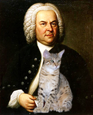 bach and dog